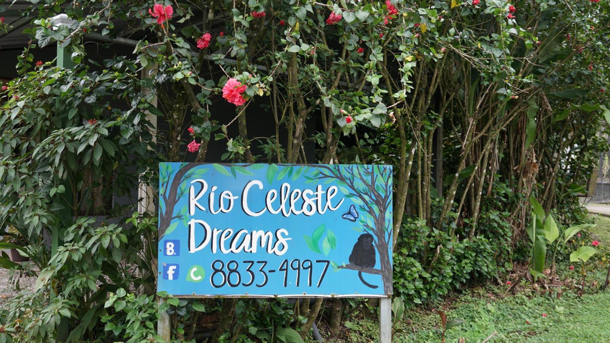 Xxx Blue Paradise - Rio Celeste Dreams Bijagua Ngoại thất bức ảnh