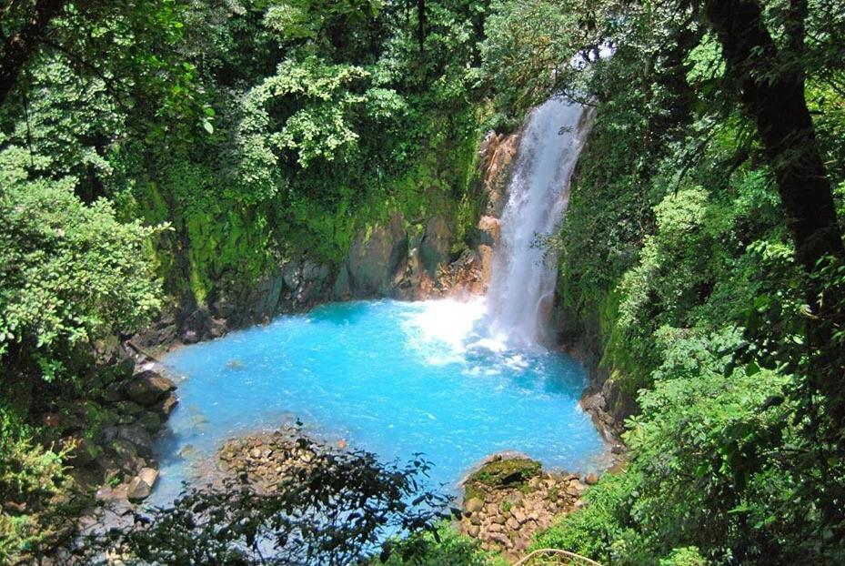 Xxx Blue Paradise - Rio Celeste Dreams Bijagua Ngoại thất bức ảnh