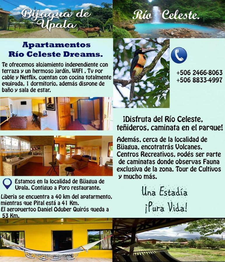 Xxx Blue Paradise - Rio Celeste Dreams Bijagua Ngoại thất bức ảnh